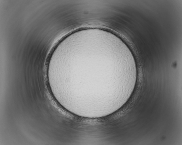 X0000115250990200912111112