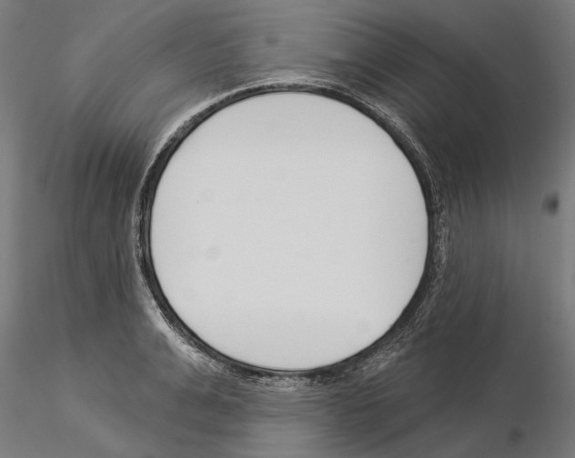 X0000115250991200912111112