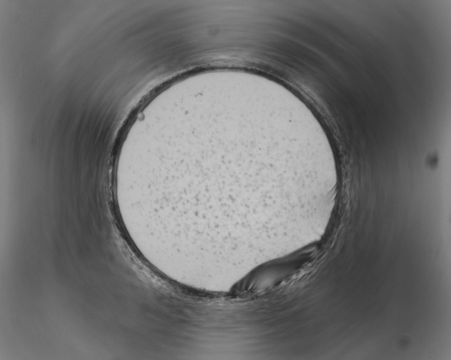 X0000115250992200912111112