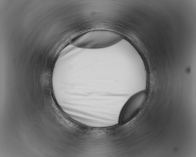 X0000115250993200912111112