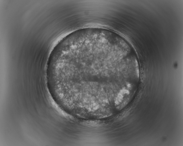 X0000115250995200912111112