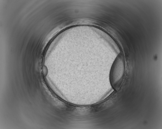 X0000115250997200912111112