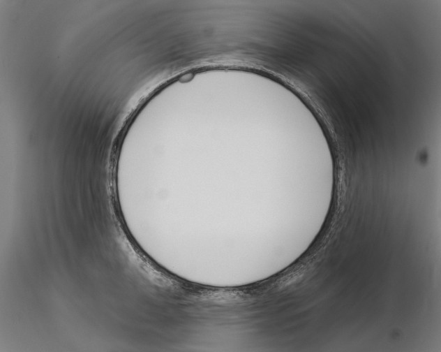 X0000115250998200912111112