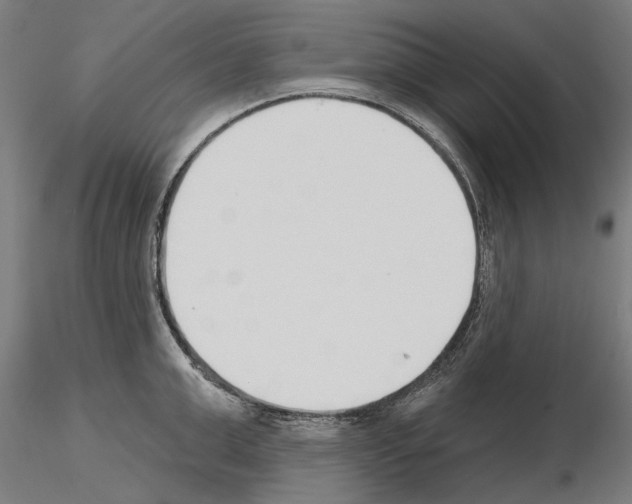 X0000115250999200912111112