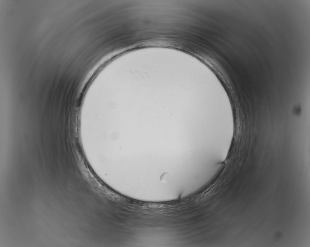 X0000115251000200912111112