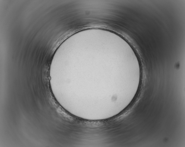 X0000115251001200912111112