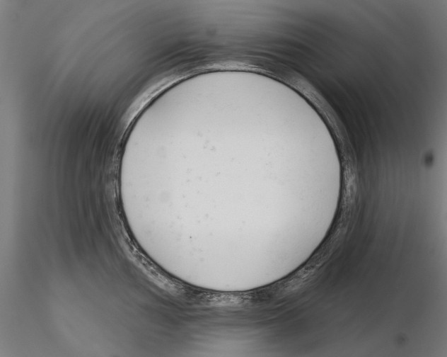 X0000115251002200912111112