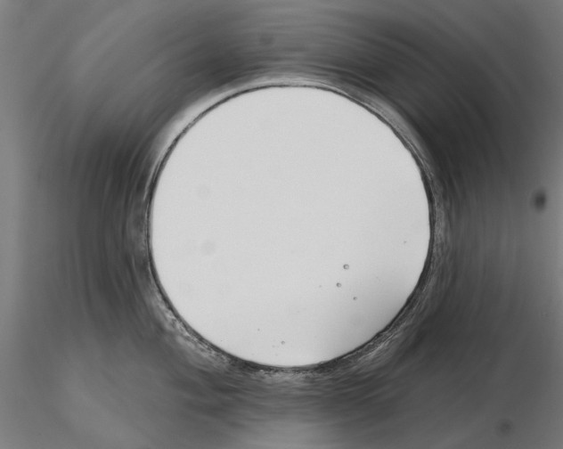 X0000115251004200912111112