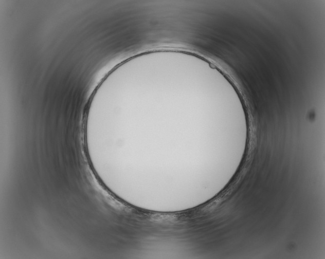 X0000115251006200912111112