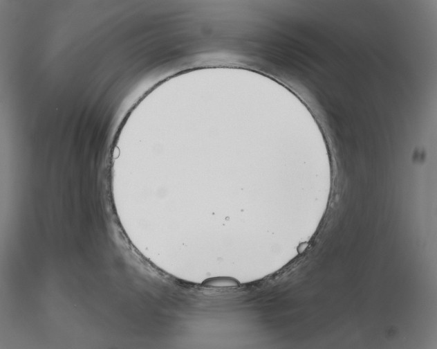 X0000115251008200912111112