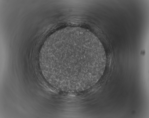 X0000115251009200912111112