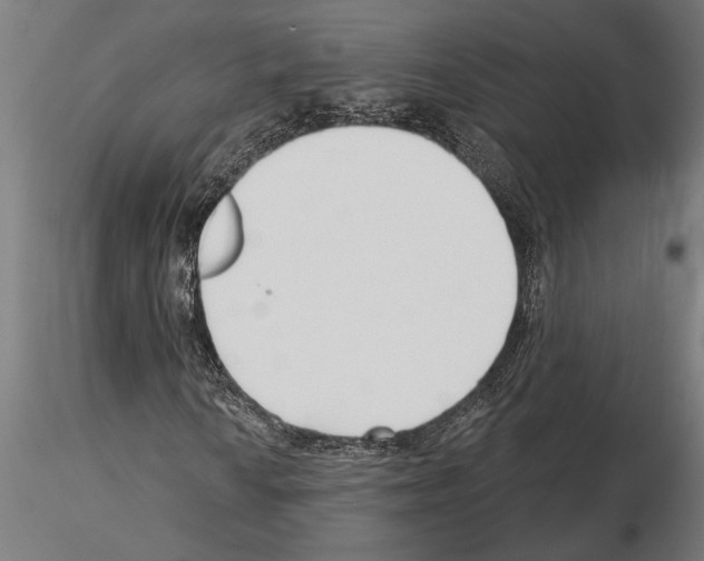 X0000115251010200912111112