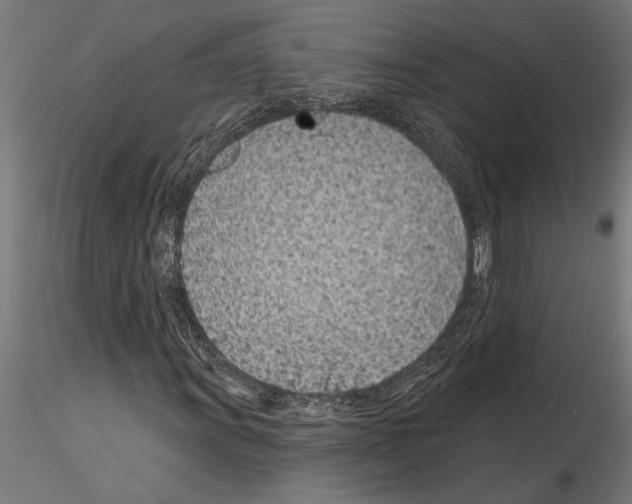 X0000115251011200912111112