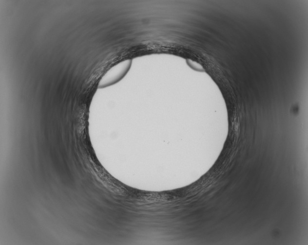 X0000115251012200912111112