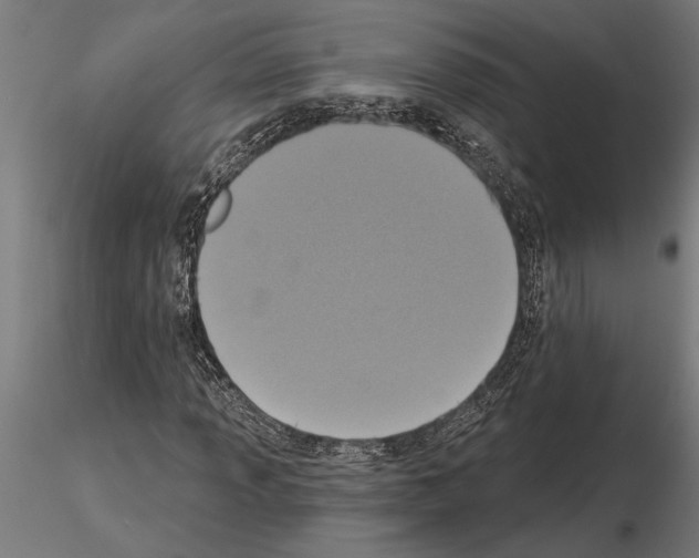 X0000115251013200912111112