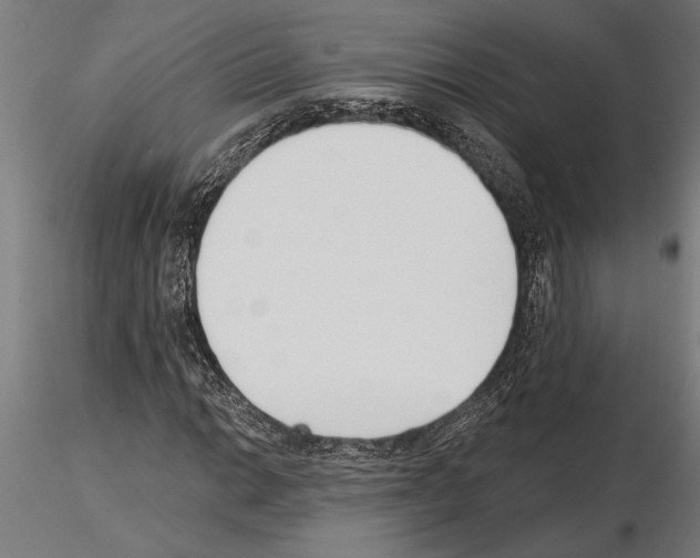 X0000115251014200912111112