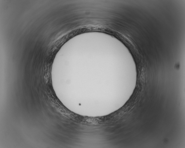 X0000115251015200912111112