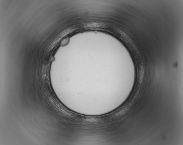 X0000115251017200912111112