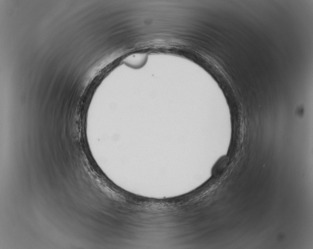 X0000115251018200912111112