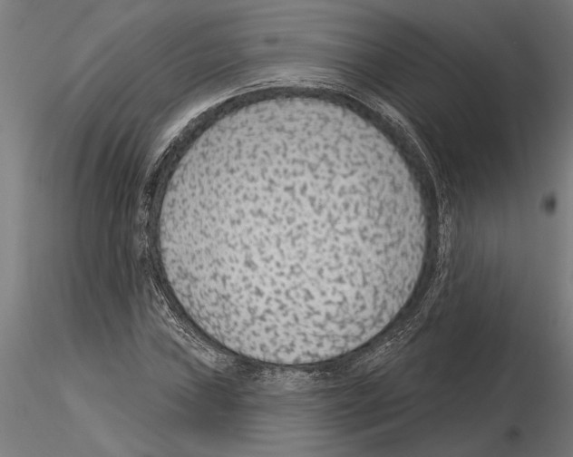 X0000115251019200912111112