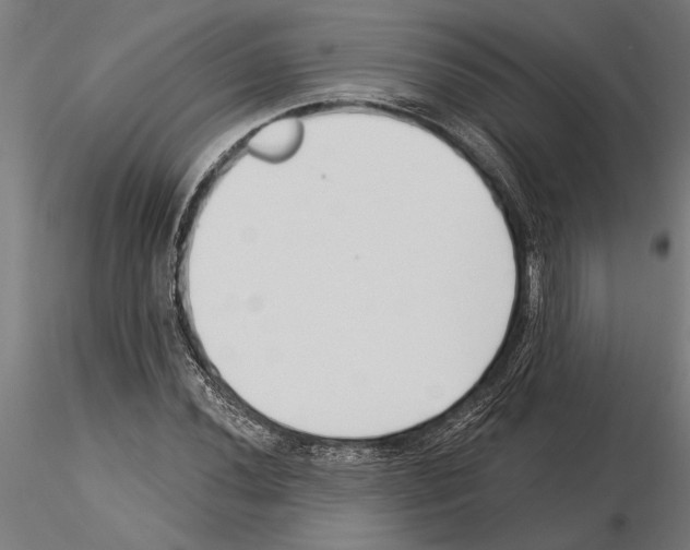 X0000115251020200912111112