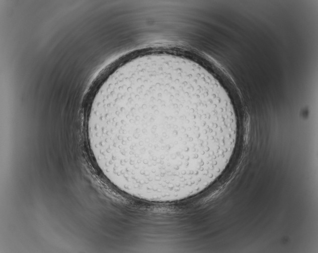 X0000115251021200912111112