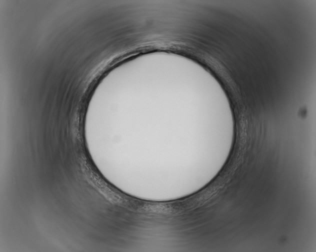 X0000115251023200912111112