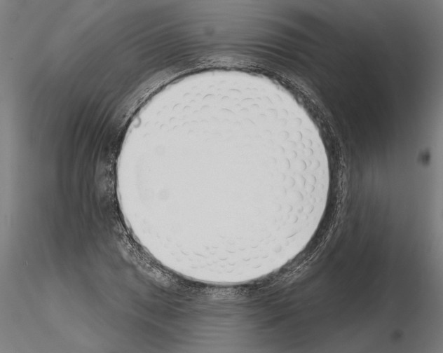 X0000115251025200912111112