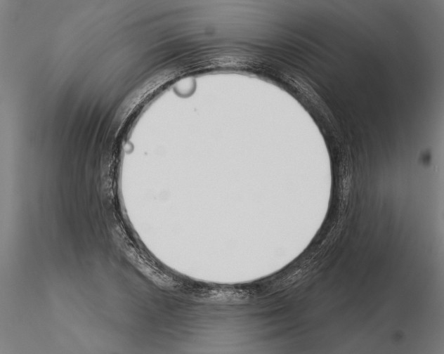 X0000115251026200912111112