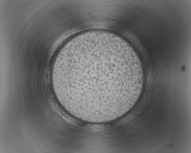 X0000115251027200912111112