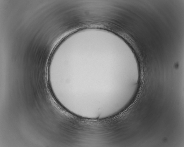 X0000115251028200912111112