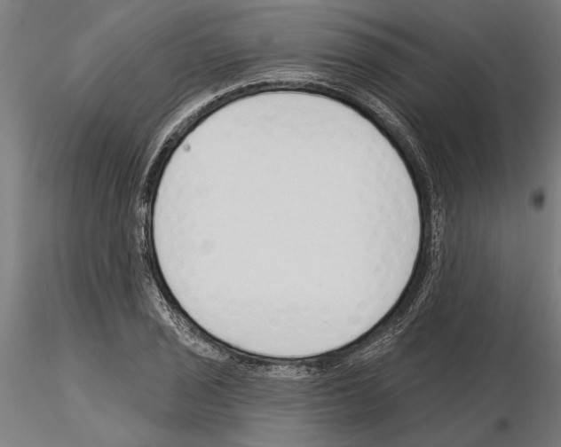 X0000115251029200912111112