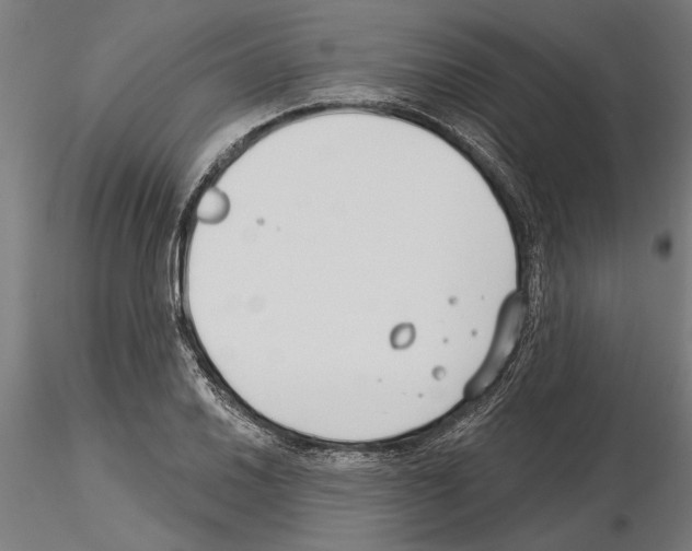 X0000115251030200912111112