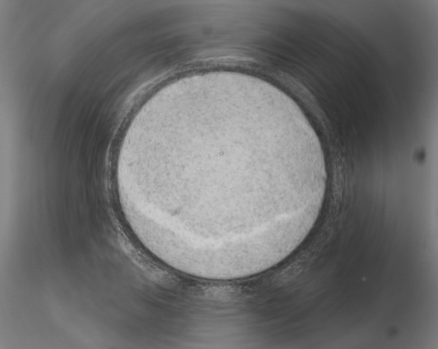 X0000115251031200912111112