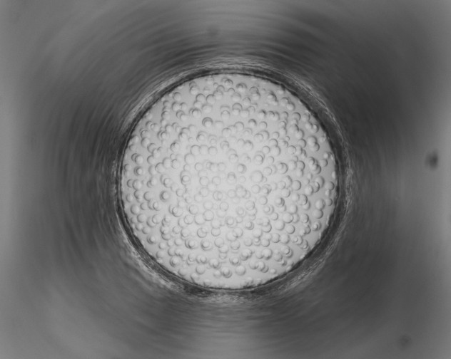 X0000115251033200912111112