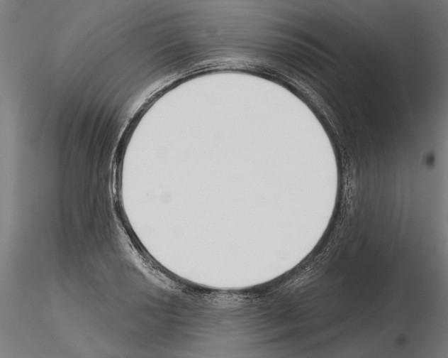 X0000115251034200912111112