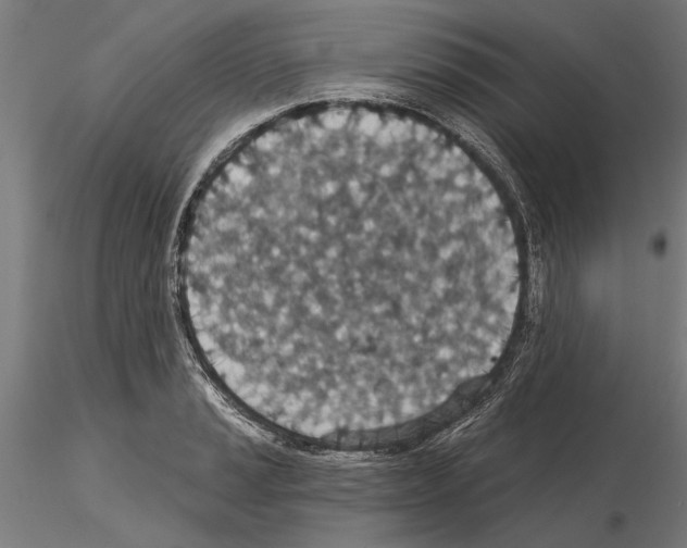 X0000115251037200912111112