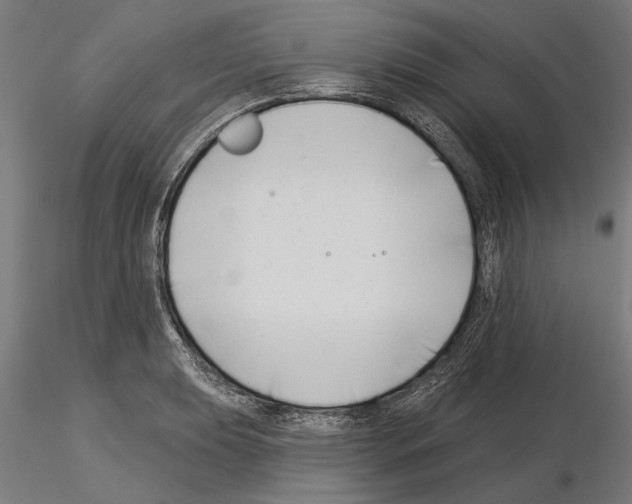 X0000115251039200912111112