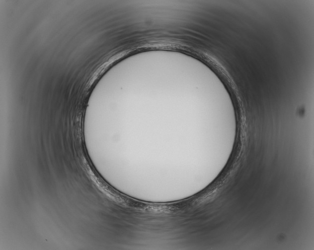 X0000115251041200912111112