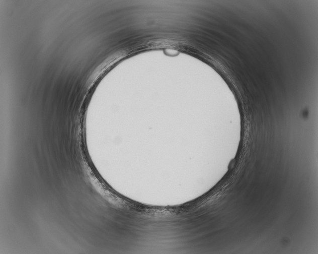 X0000115251042200912111112