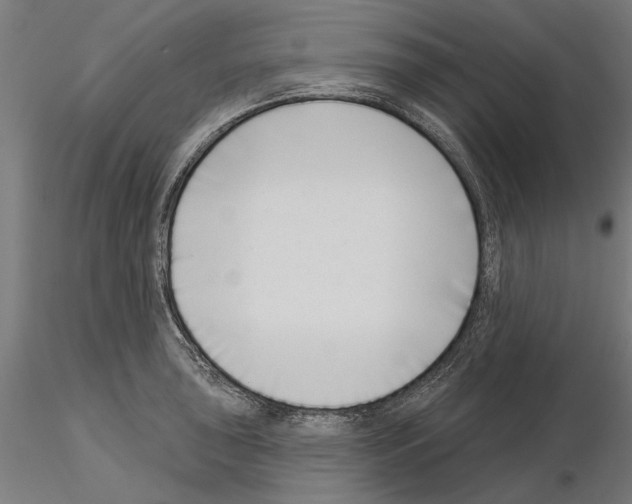 X0000115251043200912111112