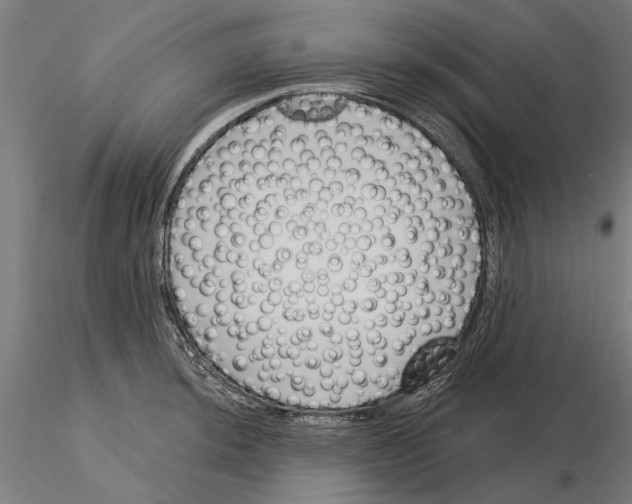 X0000115251044200912111112