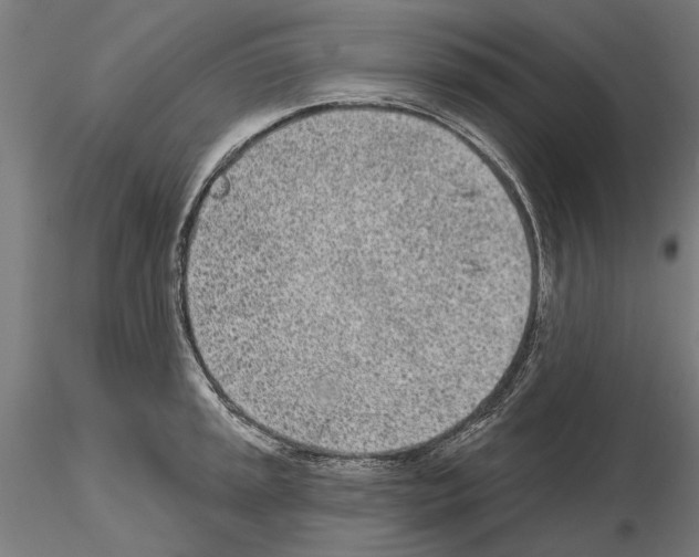 X0000115251045200912111112