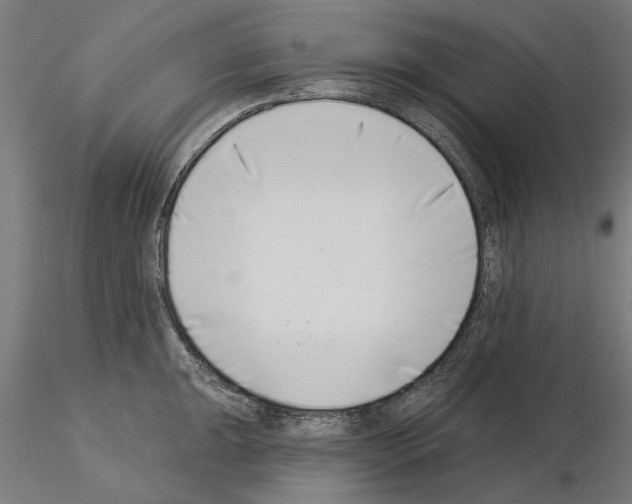 X0000115251047200912111112