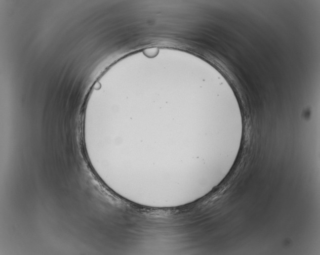 X0000115251048200912111112