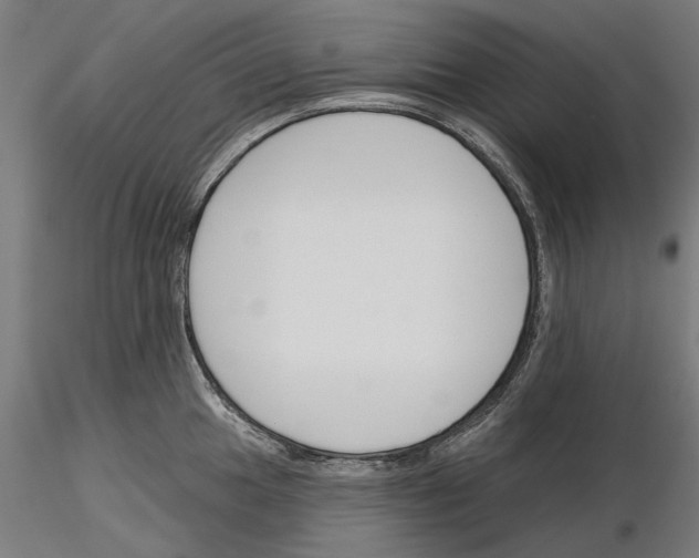 X0000115251049200912111112