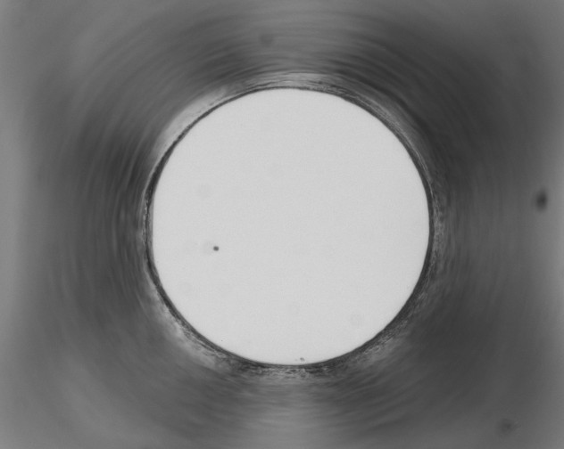 X0000115251050200912111112