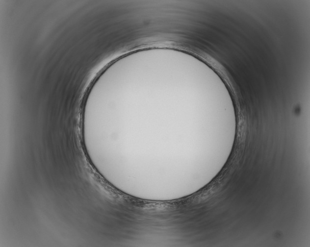 X0000115251051200912111112