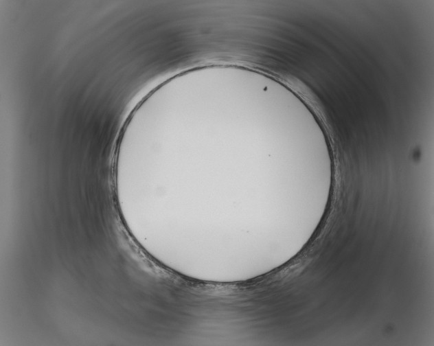 X0000115251052200912111112