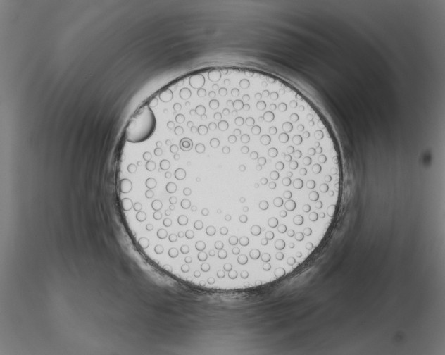 X0000115251053200912111112